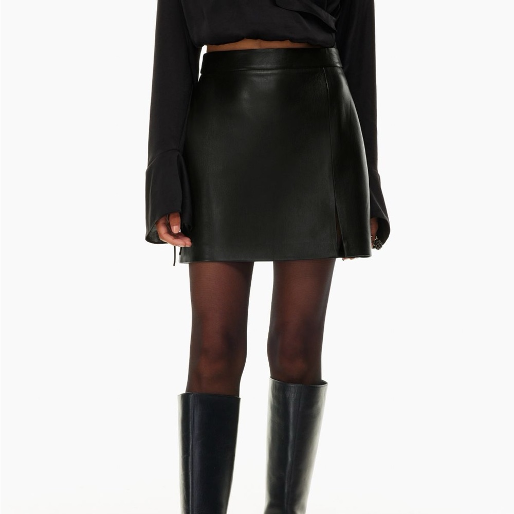 Aritzia Patio Mini Skirt